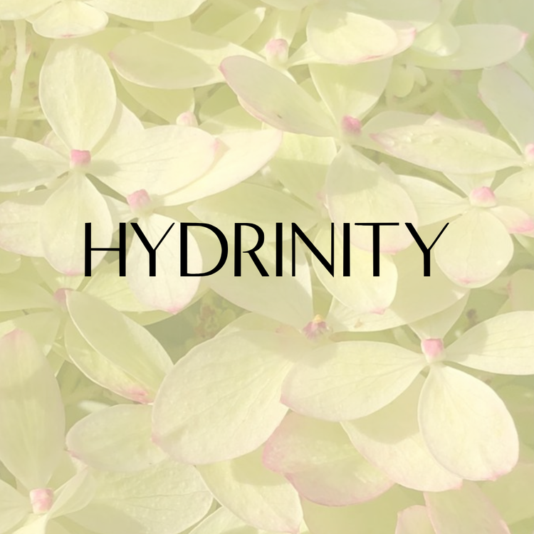 Hydrinity